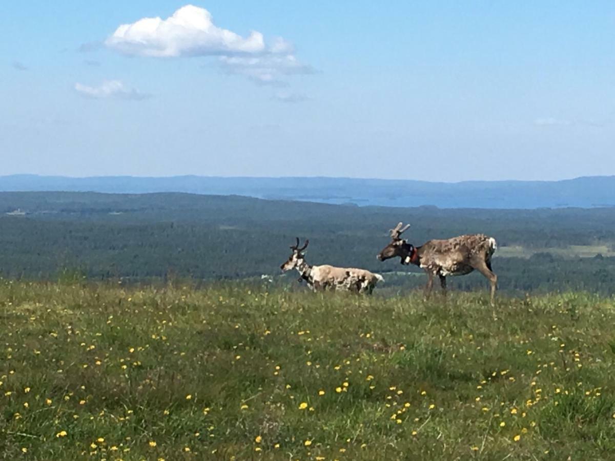 Rukansalmi Buitenkant foto